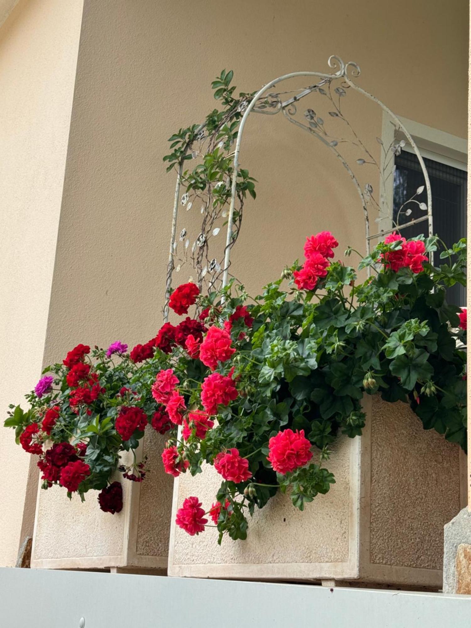 Villa Dei Fiori - Casa Vacanza Capoterra Exteriör bild