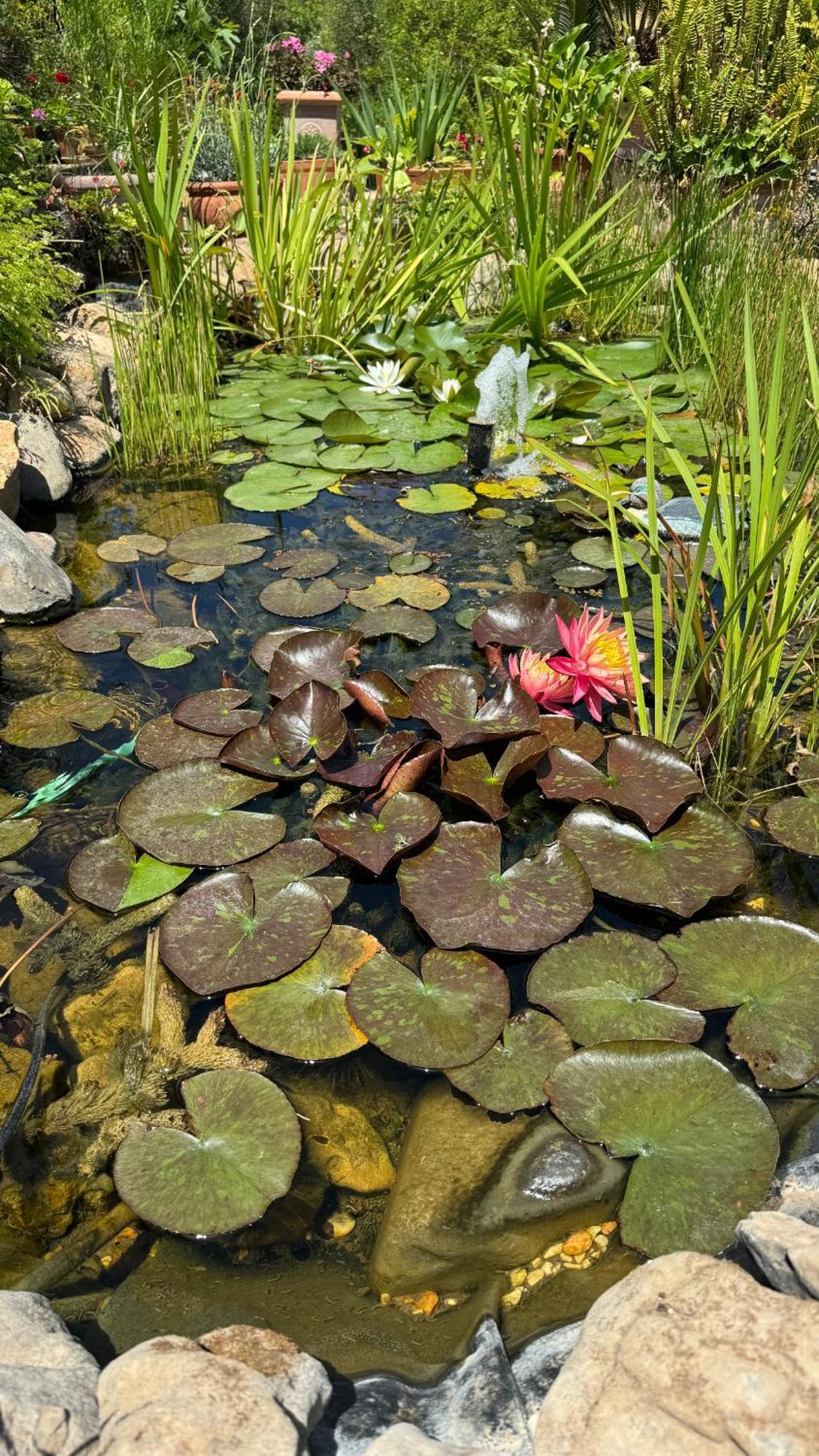 Villa Dei Fiori - Casa Vacanza Capoterra Exteriör bild