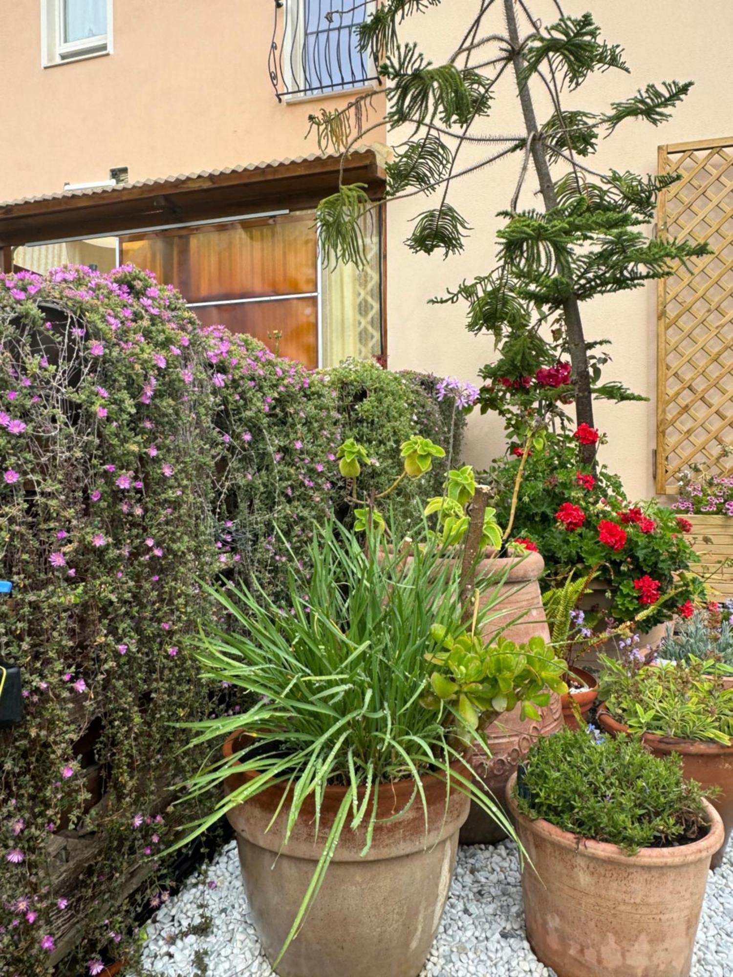 Villa Dei Fiori - Casa Vacanza Capoterra Exteriör bild