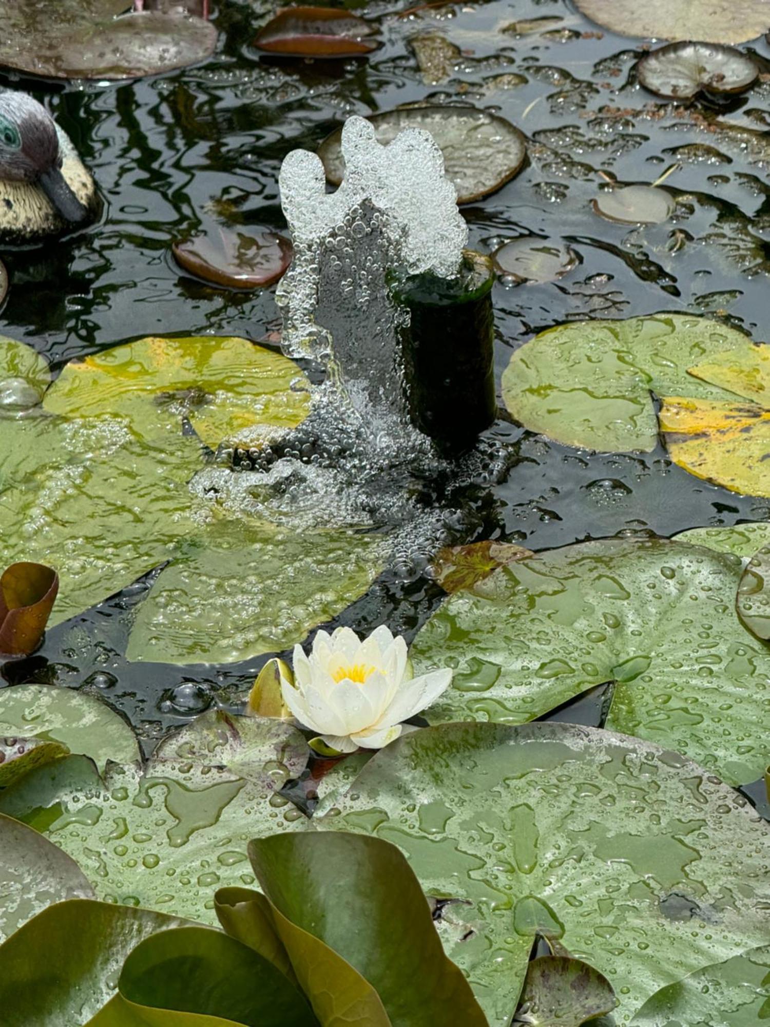 Villa Dei Fiori - Casa Vacanza Capoterra Exteriör bild